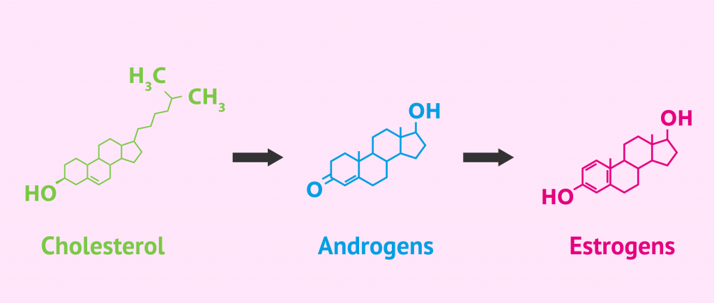 SHBG (Sex Hormone Binding Globuline) - Synevo