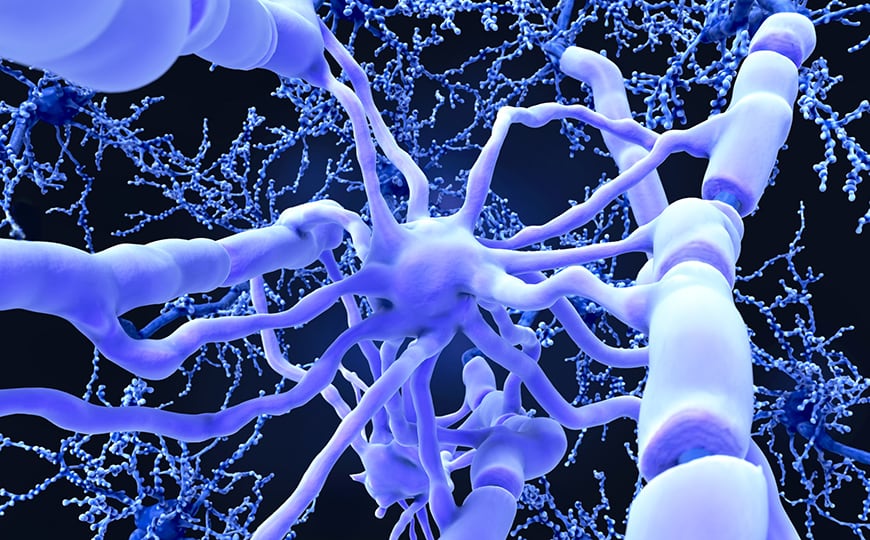 как это выглядит внутри