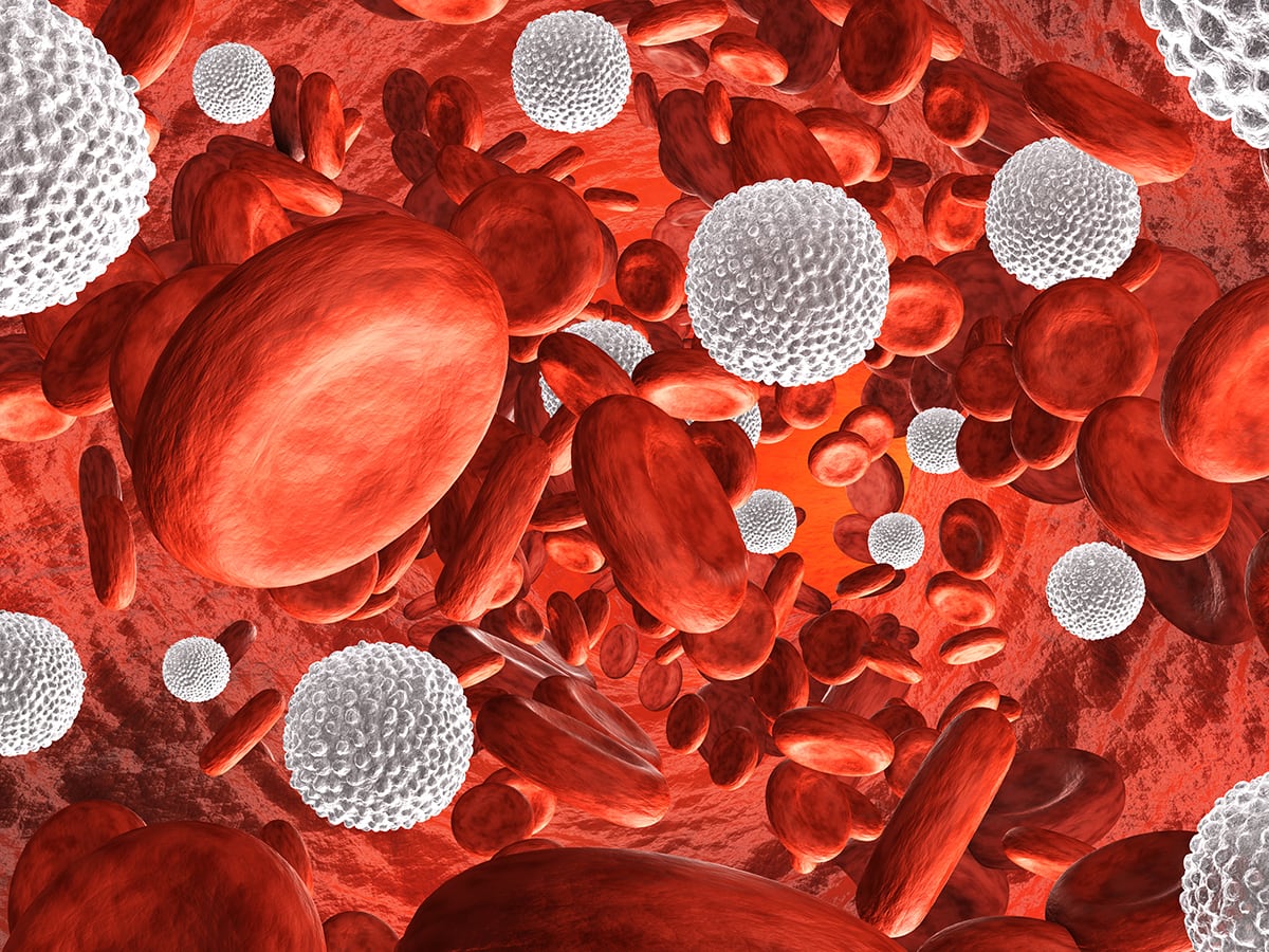 В мазке на микрофлору повышены лейкоциты: причины | Клиника «Наедине»