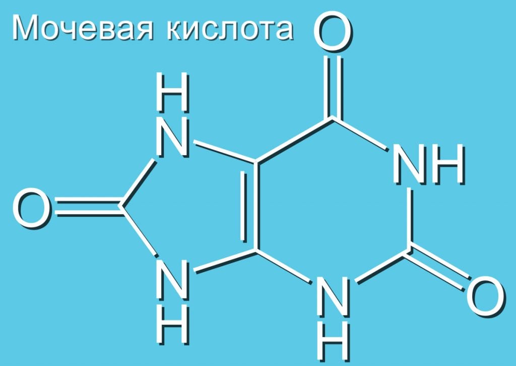 Мочевая кислота продукты