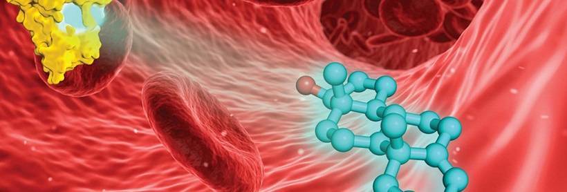 Гомоцистеин