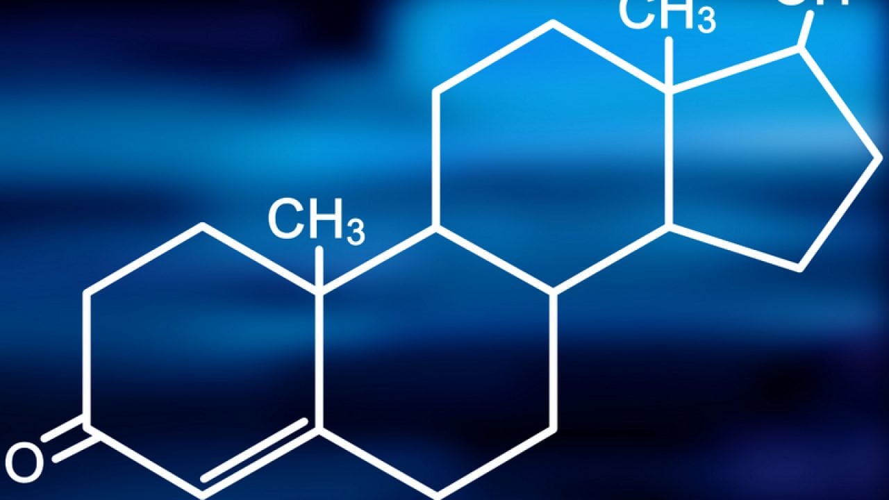 Тестостерон у женщин и мужчин: норма для разного возраста